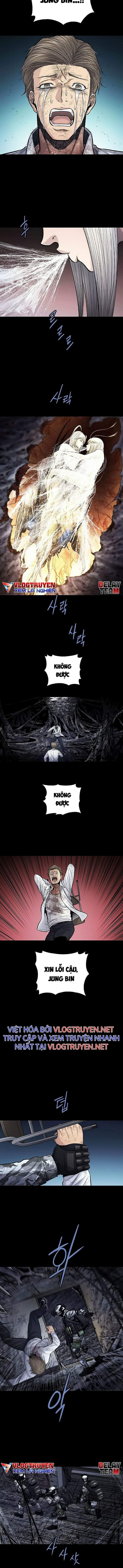 Đọc truyện Hive - Thảm họa ong độc - Chap 259